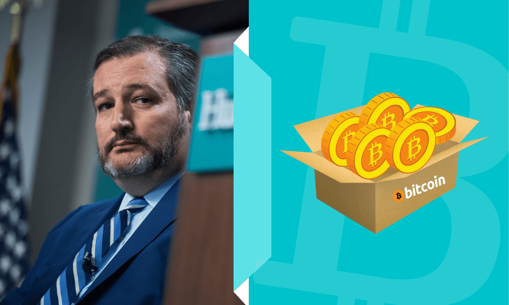 Ted Cruz Buys the Bitcoin Dip- ForexProp
